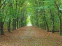 2014-10-02 15-35-15 Rando parc de la Courneuve MBo